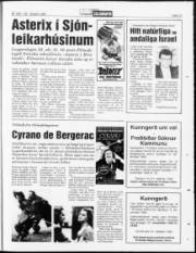 Síða 23