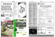 Síða 17