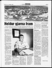 Síða 3