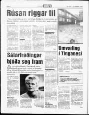 Síða 8