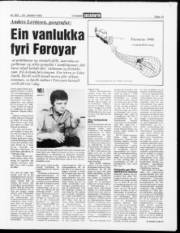 Síða 13