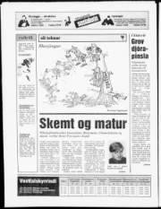 Síða 24