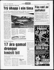 Síða 3