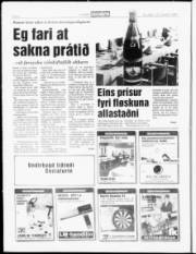 Síða 6