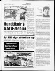 Síða 7