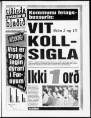 Síða 1