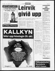 Síða 13