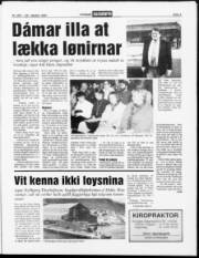 Síða 3