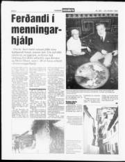 Síða 8