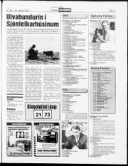 Síða 15