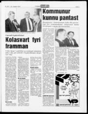 Síða 5