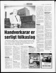 Síða 12