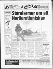 Síða 16
