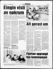Síða 3