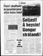 Síða 6