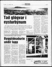 Síða 9