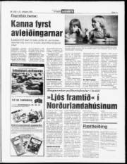 Síða 11