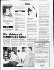Síða 21