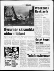 Síða 3