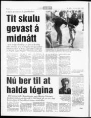 Síða 6