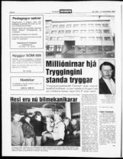 Síða 8