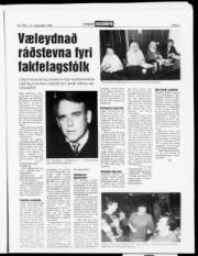 Síða 9