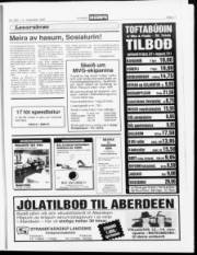 Síða 17