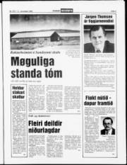 Síða 3