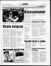 Síða 11