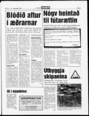 Síða 3