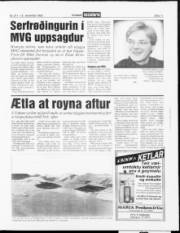 Síða 11