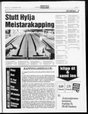 Síða 17