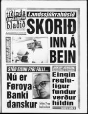 Síða 1