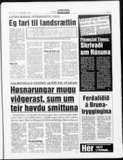 Síða 7