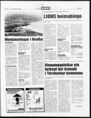 Síða 19