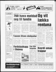 Síða 20