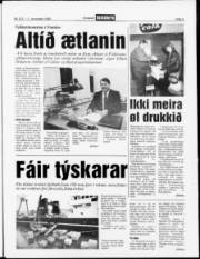 Síða 3
