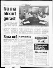 Síða 6