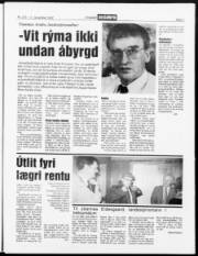 Síða 7