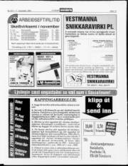 Síða 13