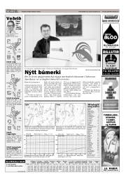 Síða 17