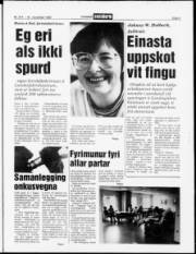 Síða 3