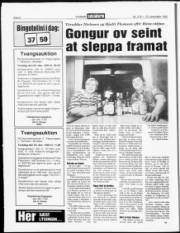 Síða 8