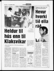 Síða 3