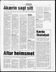 Síða 5