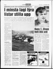 Síða 6