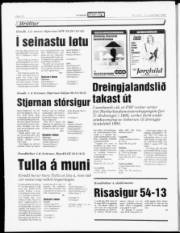 Síða 12