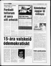 Síða 3