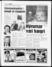 Síða 7