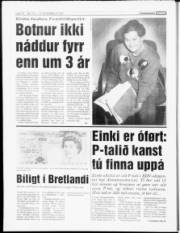 Síða 14